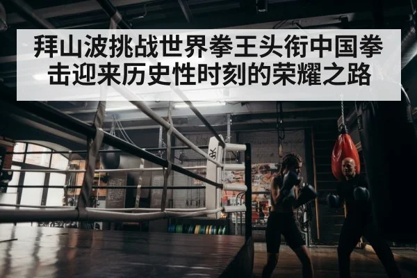 拜山波挑战世界拳王头衔中国拳击迎来历史性时刻的荣耀之路
