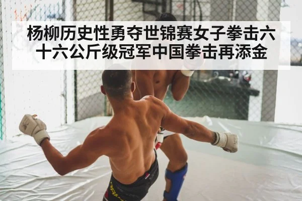 boxing fight